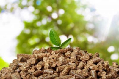 木屑颗粒是一种典型的生物质能源